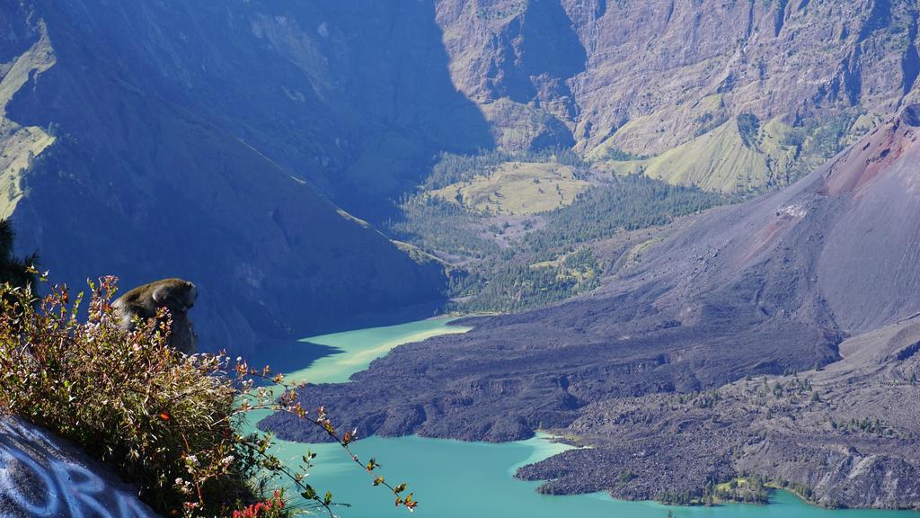 Rinjani Trails Hotel Senaru Buitenkant foto